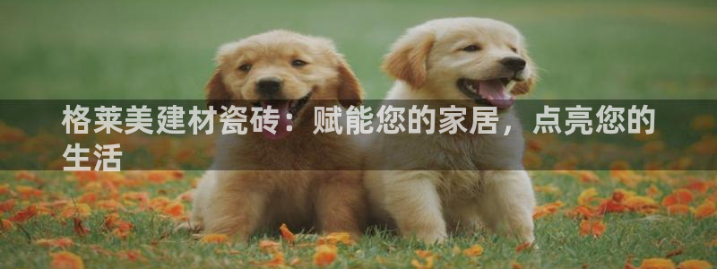 杏鑫官方平台怎么样
