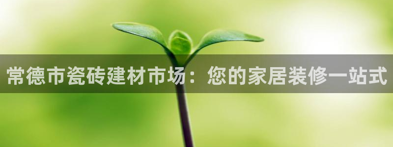 杏鑫官网最新信息