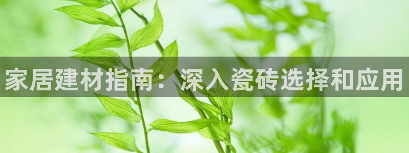 杏鑫平台怎么样黑钱吗安全吗