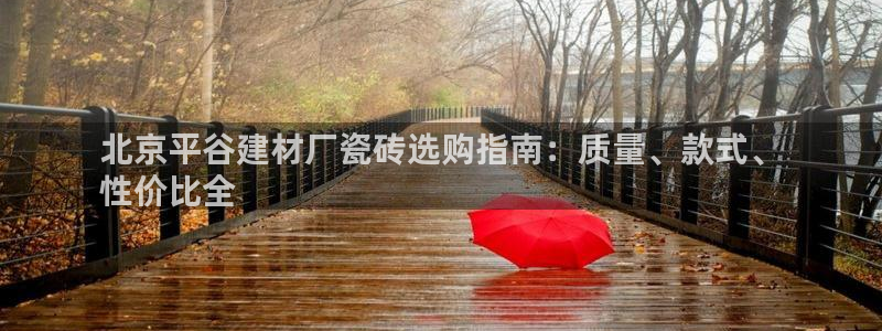 杏鑫平台平台娱乐