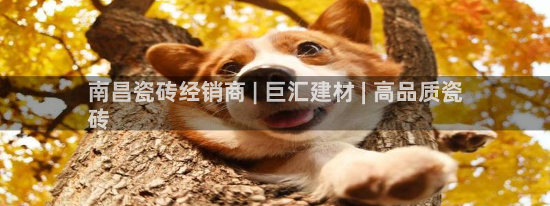 杏鑫平台测速