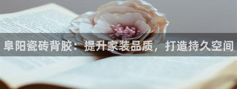 杏鑫平台招商怎么样