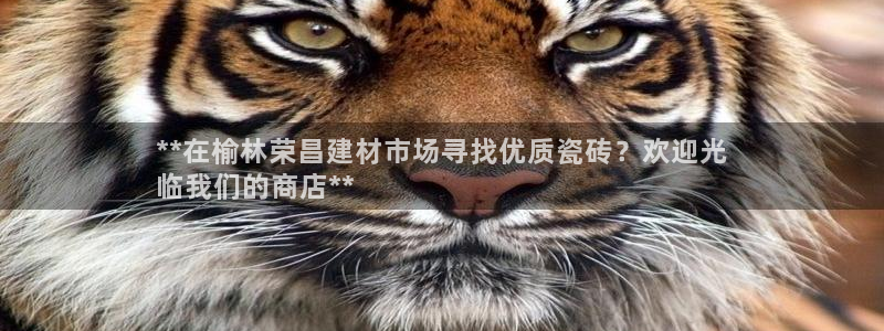 杏鑫平台代理怎么做