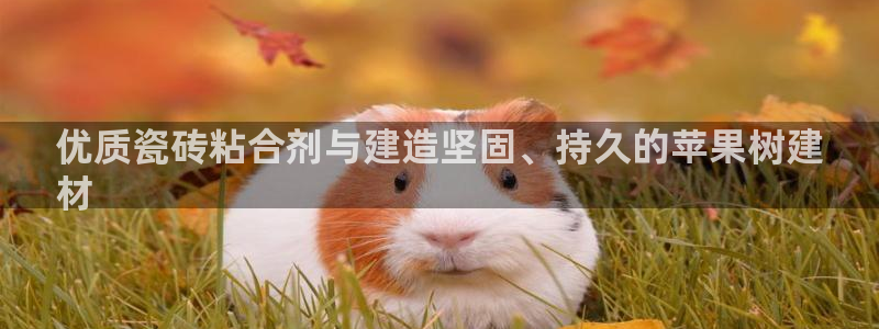 杏鑫手机客户端
