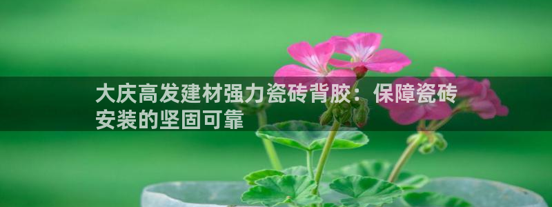 杏鑫平台代理