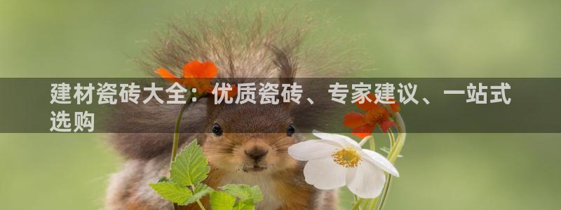 杏鑫平台招商怎么样啊