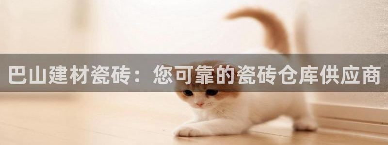杏鑫平台招商电话