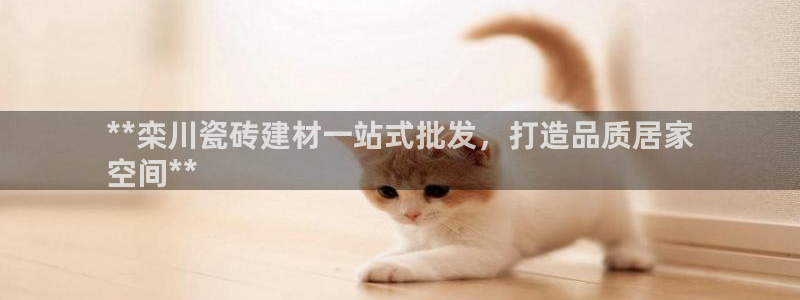 杏鑫招商总代