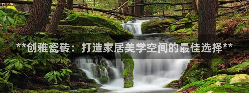 杏鑫平台代理怎么做