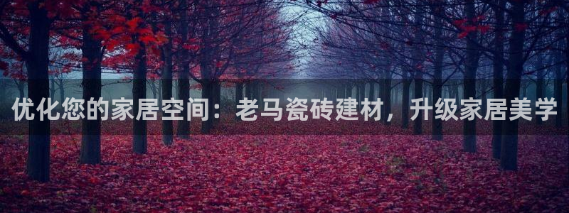 杏鑫平台代理
