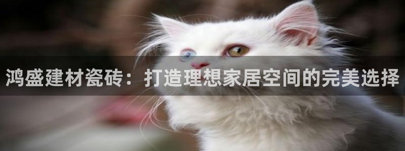 杏鑫娱乐平台