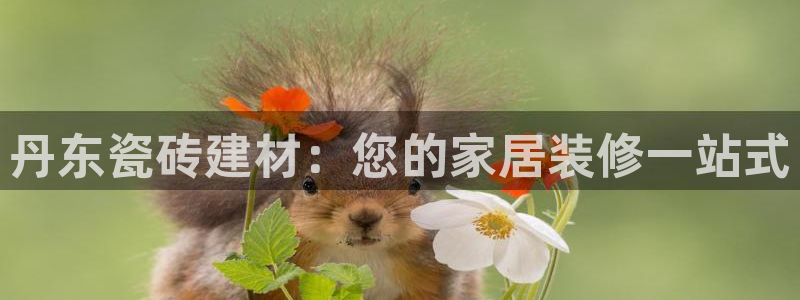 杏鑫官方平台怎么样