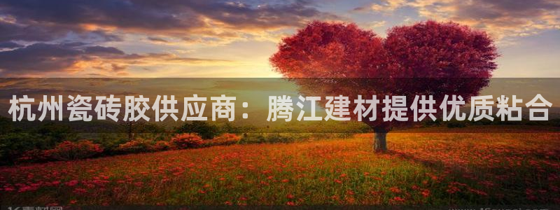 杏鑫官方app代理