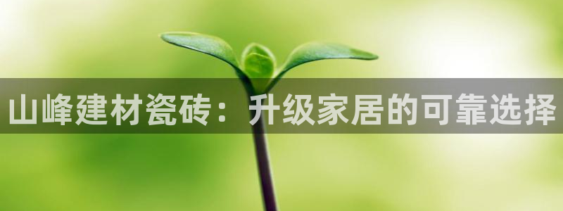 杏鑫娱乐是合法的吗?