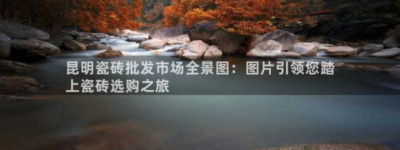 杏鑫平台代理怎么做赚钱