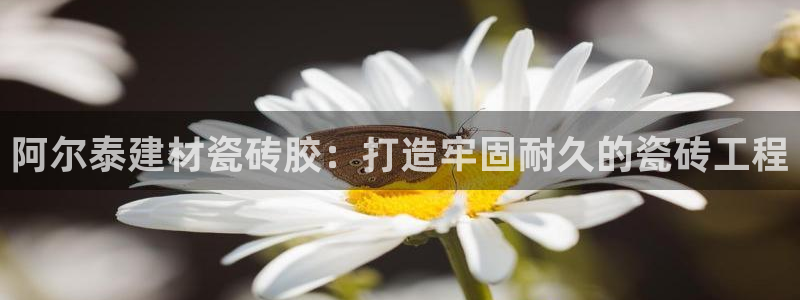 杏鑫平台代理怎么样啊