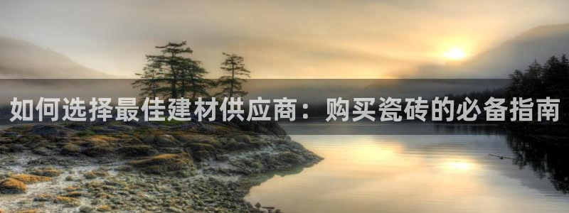 杏鑫平台代理怎么样