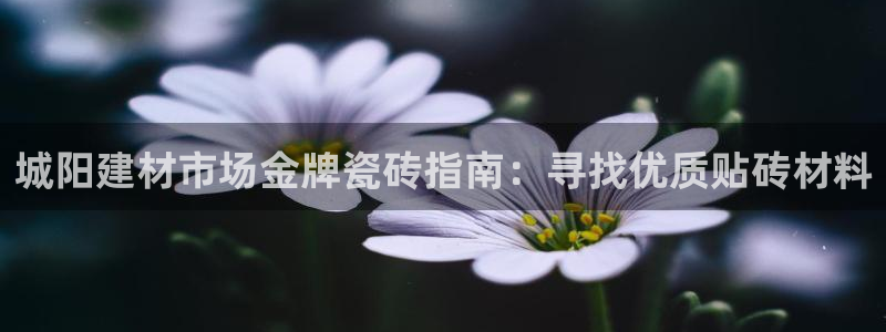 杏鑫平台提供