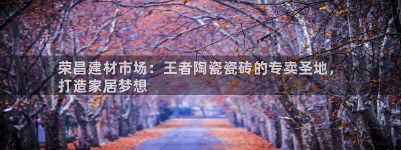 杏鑫官方平台怎么样啊