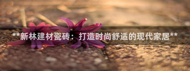 杏鑫娱乐负责人