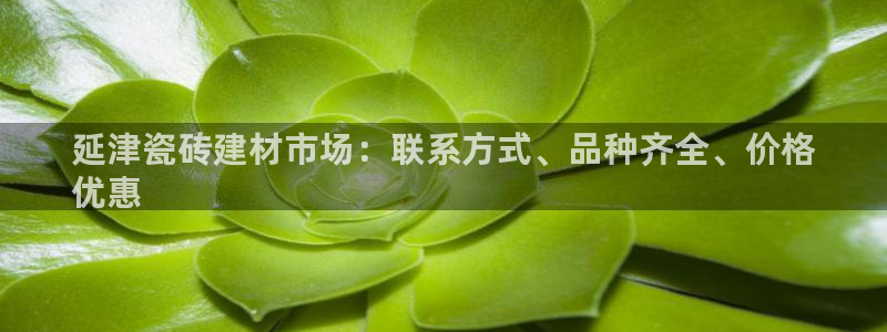 杏鑫平台正规吗
