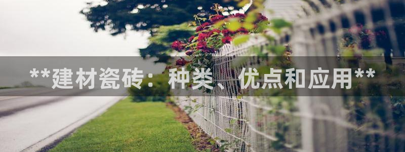 杏鑫平台平台娱乐