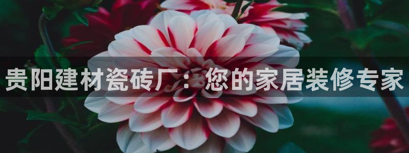 杏鑫平台官方网站
