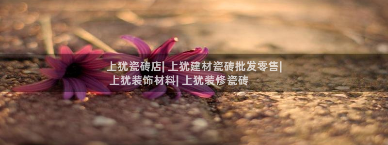 杏鑫娱乐怎么下
