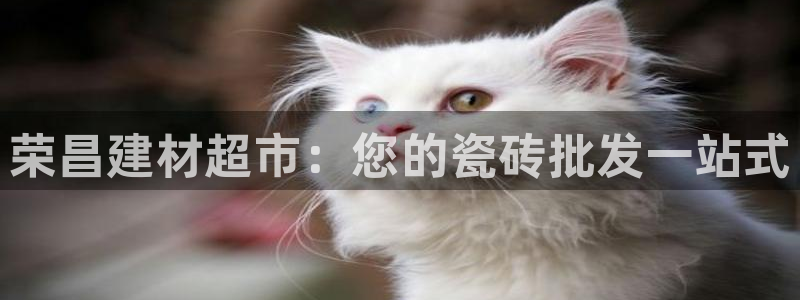 杏鑫平台代理怎么做