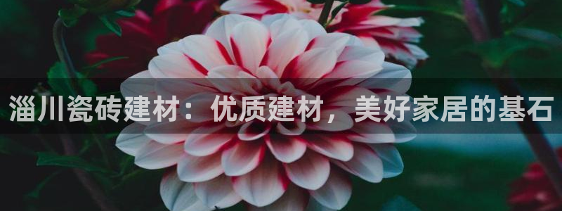 杏鑫娱乐官网首页