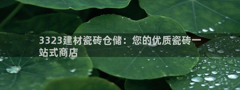 杏鑫官方平台怎么样啊