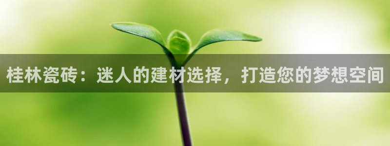杏鑫平台测速