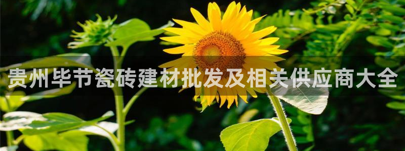 杏鑫平台招商电话是多少