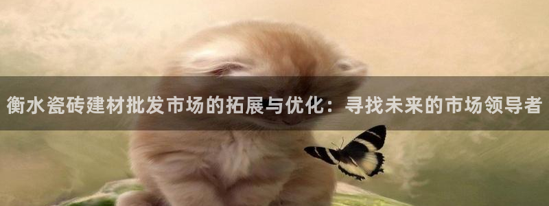 杏鑫平台招商怎么样