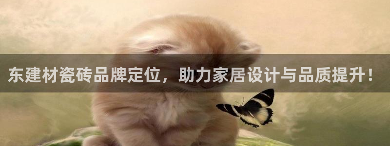 杏鑫平台招商
