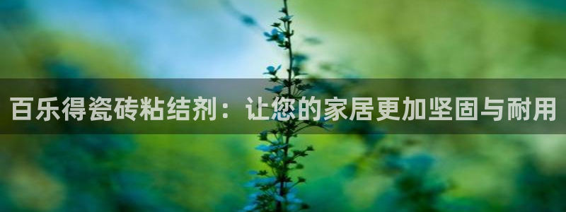 杏鑫平台下载安装