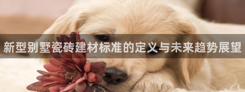 杏鑫官方平台怎么样啊可靠吗