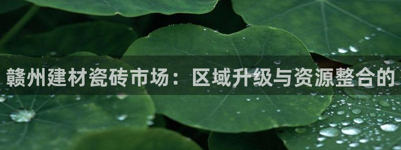 杏鑫官方平台怎么样啊知乎