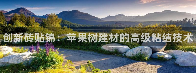 杏鑫平台靠谱吗