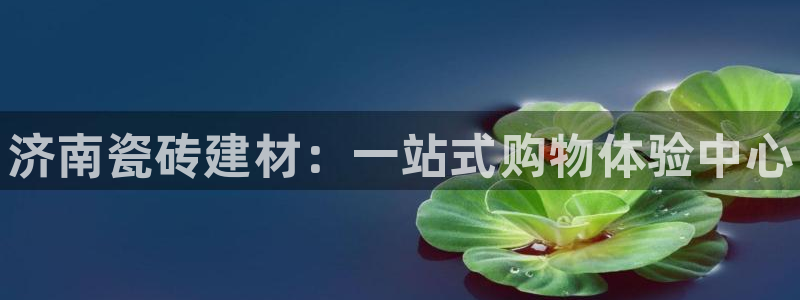 杏鑫官网注册账号