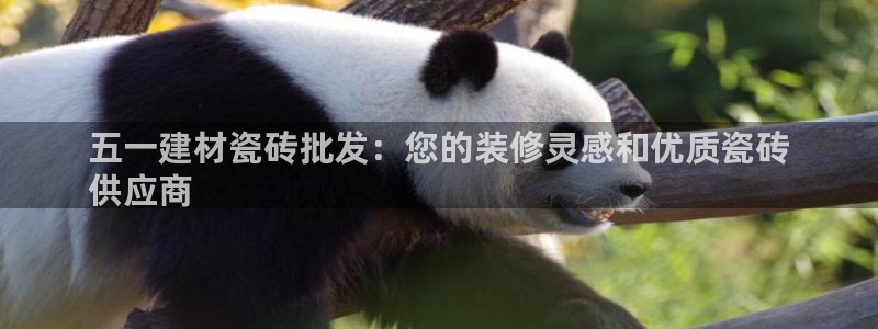 杏鑫平台在线注册