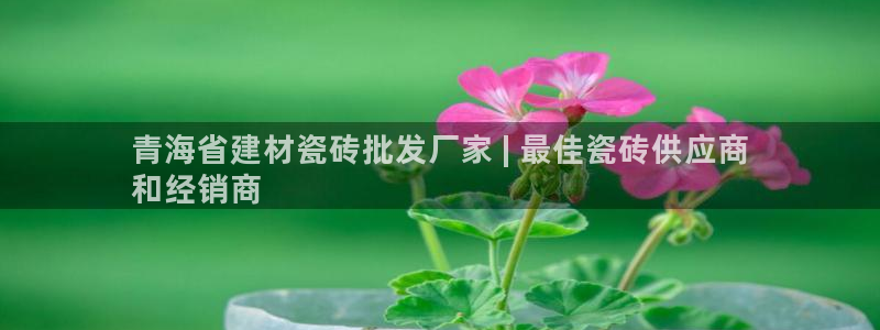 杏鑫平台注册网址是多少