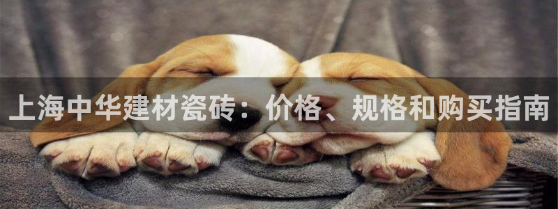 杏鑫官网注册账号怎么注册的