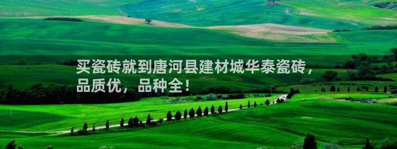 杏鑫官网注册账号是什么