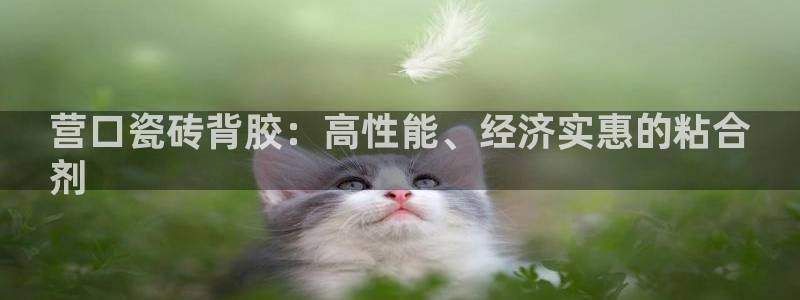 杏鑫注册登录网址是多少