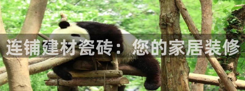 杏鑫平台代理注册流程及费用