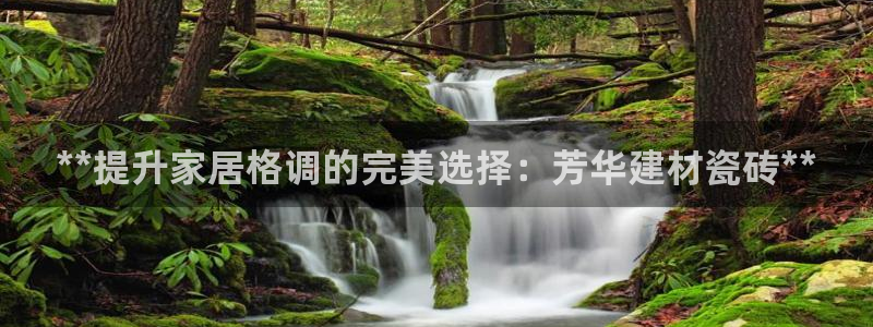 杏鑫注册平台官方网站下载