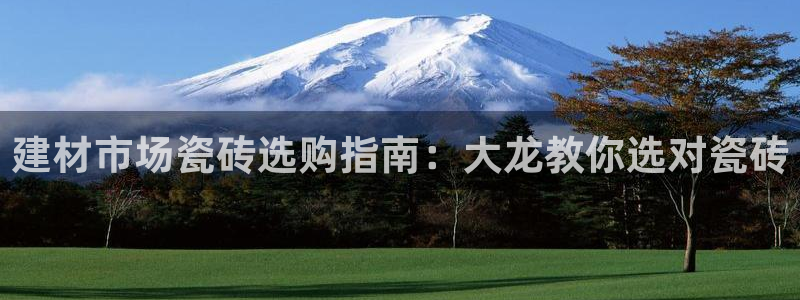 杏鑫平台注册网址是多少