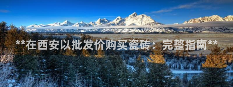 杏鑫官网注册账号怎么注册