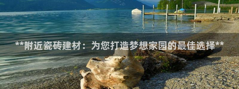 杏鑫平台代理注册流程图